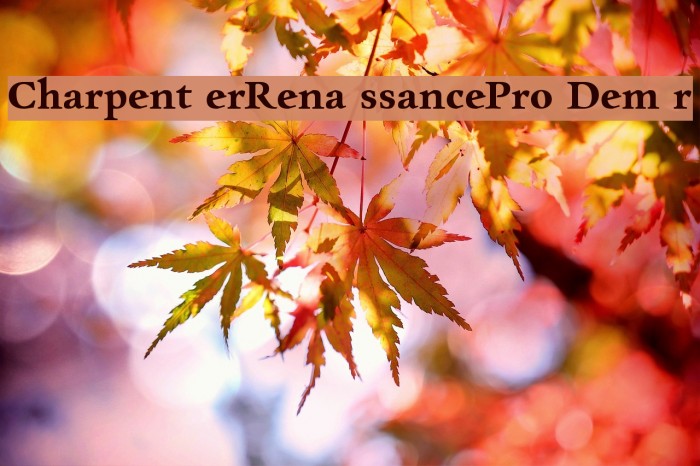 CharpentierRenaissancePro-Demir Font examples