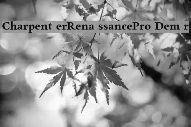 CharpentierRenaissancePro-Demir フォント examples