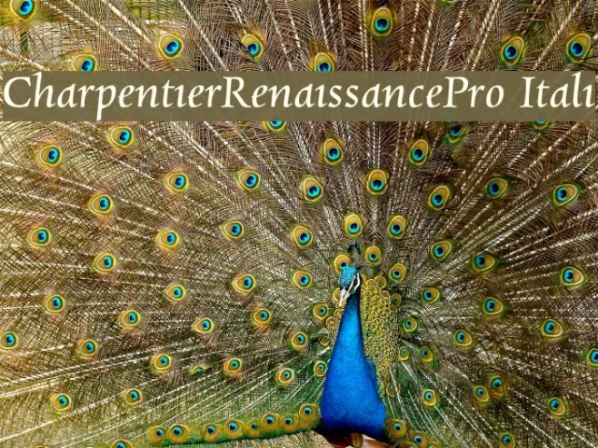 CharpentierRenaissancePro-Itali Example 1