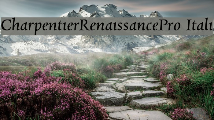 CharpentierRenaissancePro-Itali Font examples