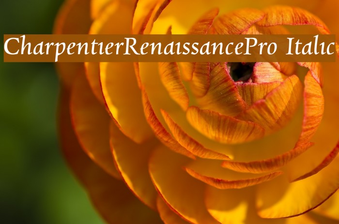 CharpentierRenaissancePro-Italic Font examples