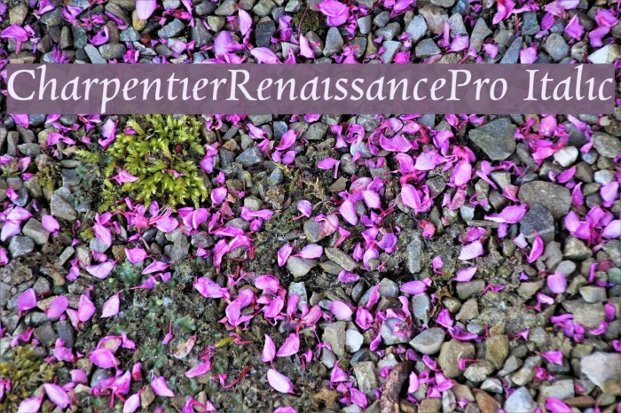 CharpentierRenaissancePro-Italic Font examples