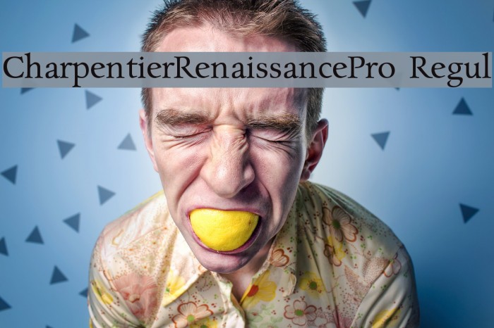 CharpentierRenaissancePro-Regul Font examples