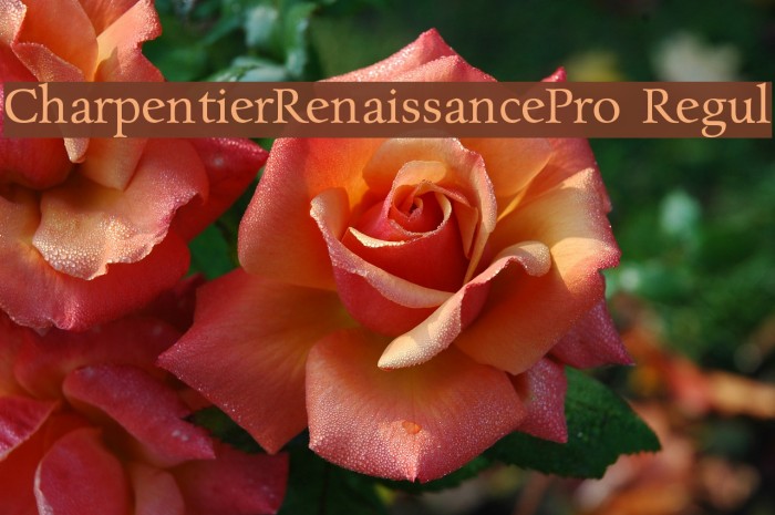 CharpentierRenaissancePro-Regul Font examples