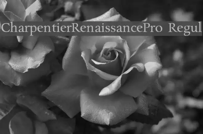 CharpentierRenaissancePro-Regul Font examples