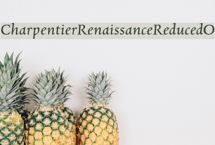 CharpentierRenaissanceReduced-O Font examples