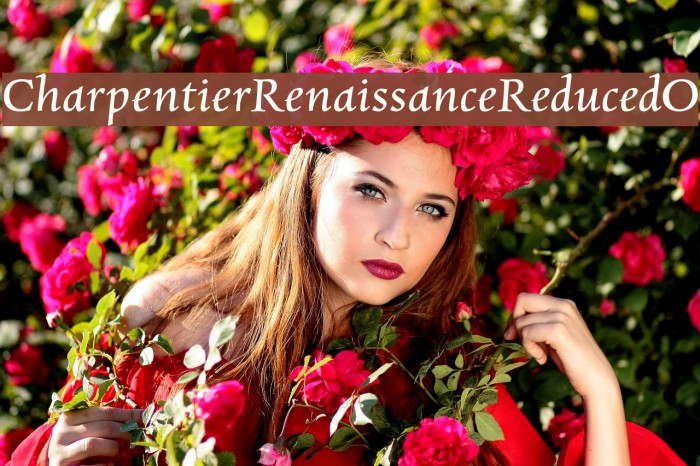 CharpentierRenaissanceReduced-O Font examples