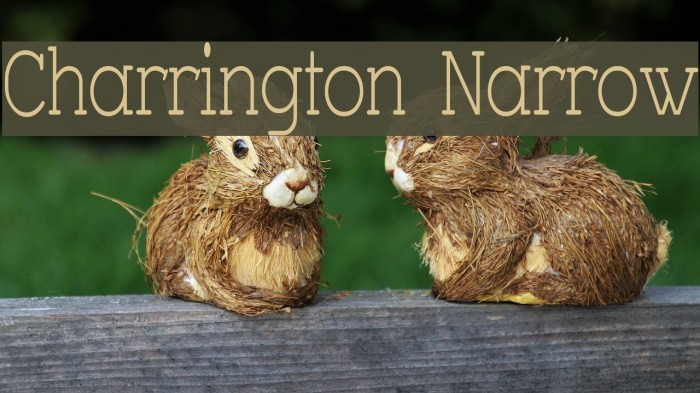 Charrington Narrow Font examples