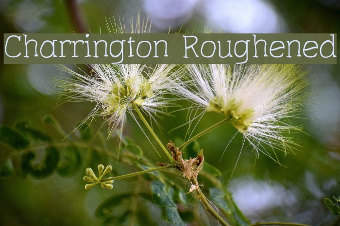 Charrington Roughened Font examples