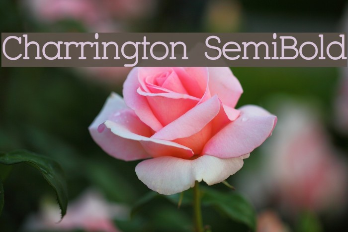 Charrington SemiBold Font examples