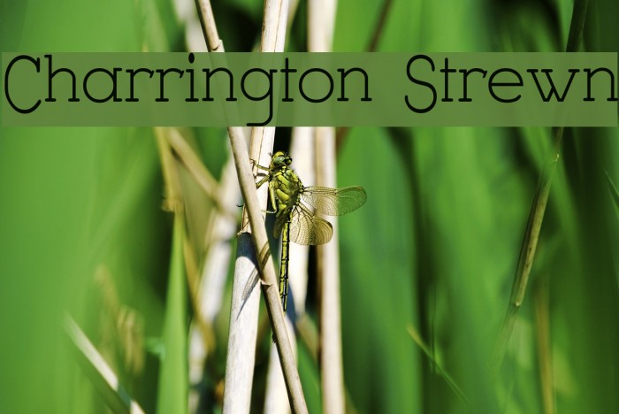 Charrington Strewn Font examples
