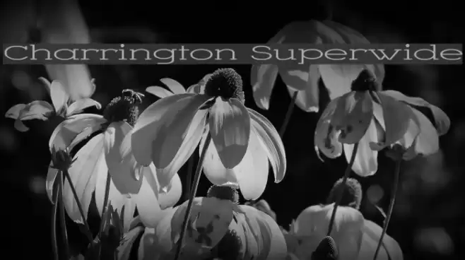 Charrington Superwide Font examples