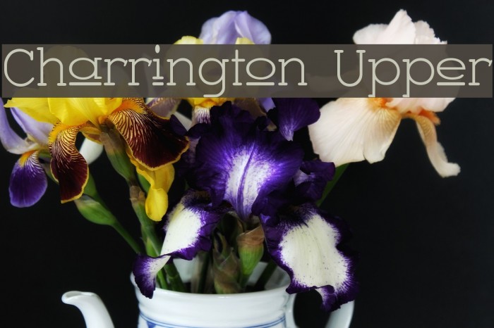 Charrington Upper Font examples