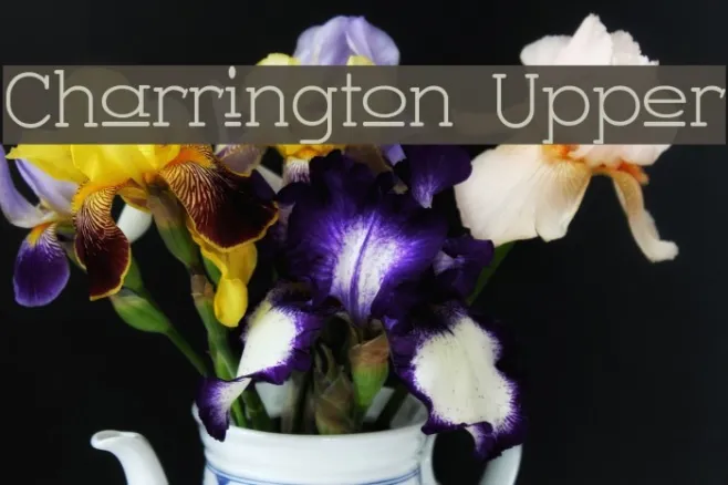 Charrington Upper Example 3