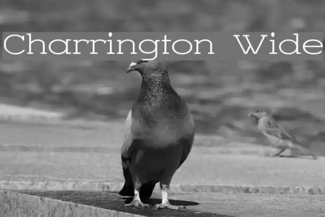 Charrington Wide Font examples