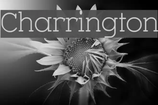Charrington Font examples