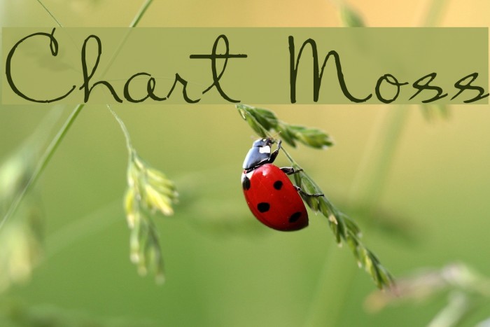 Chart Moss Font examples