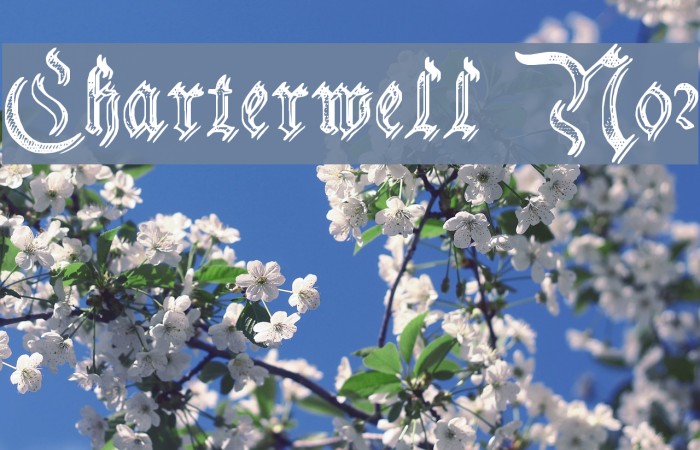 Charterwell No2 Шрифта examples