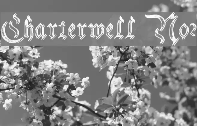 Charterwell No2 Font examples