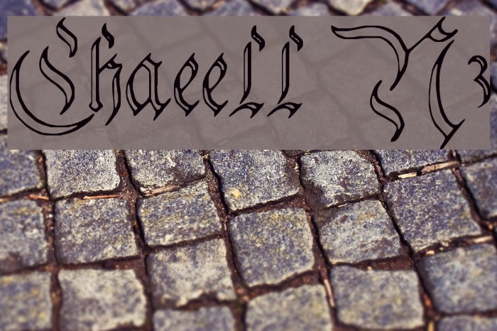 Charterwell No3 Font examples
