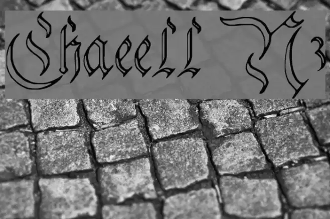 Charterwell No3 Font examples