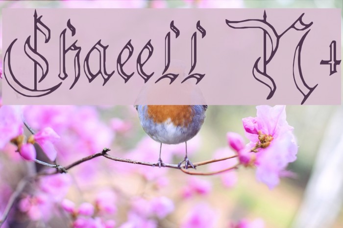 Charterwell No4 Font examples