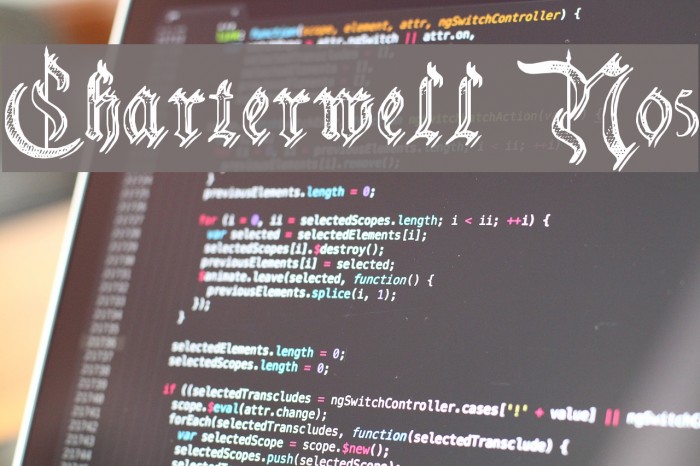 Charterwell No5 Font examples