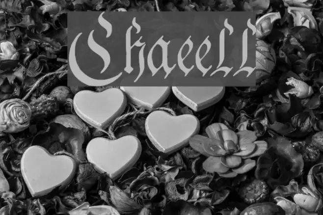 Charterwell Font examples