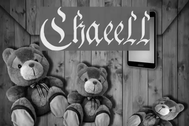 Charterwell Font examples