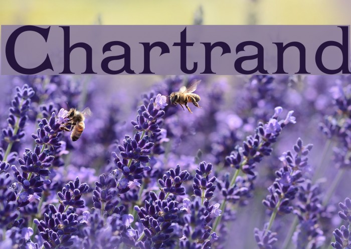 Chartrand Font examples