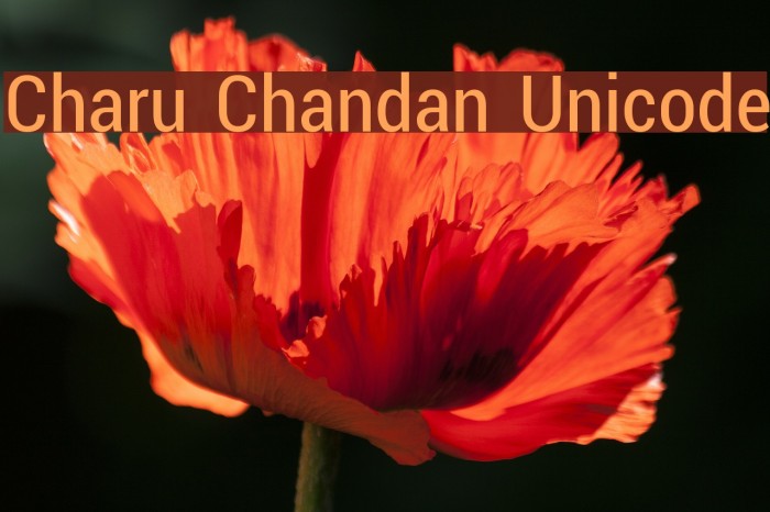 Charu Chandan Unicode Font examples