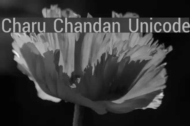 Charu Chandan Unicode Font examples
