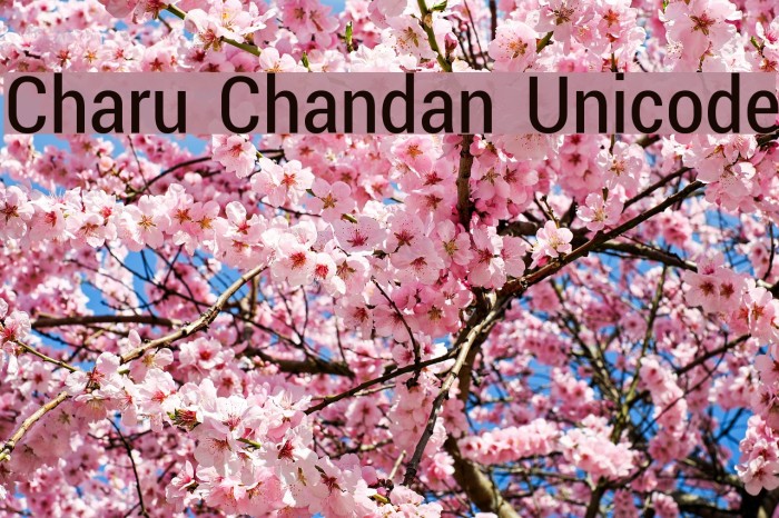 Charu Chandan Unicode Font examples