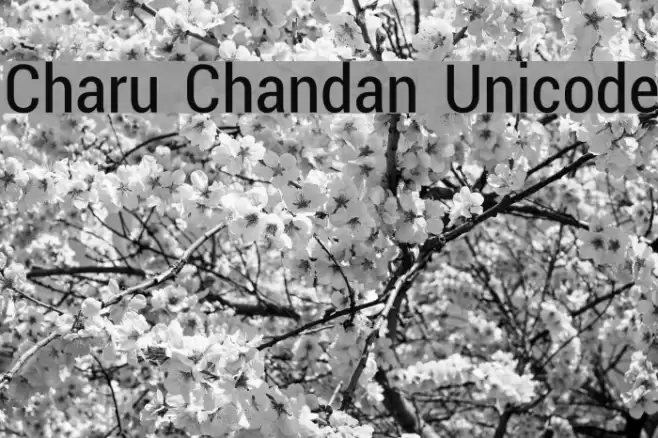 Charu Chandan Unicode Font examples