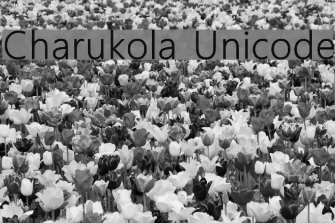 Charukola Unicode Font examples