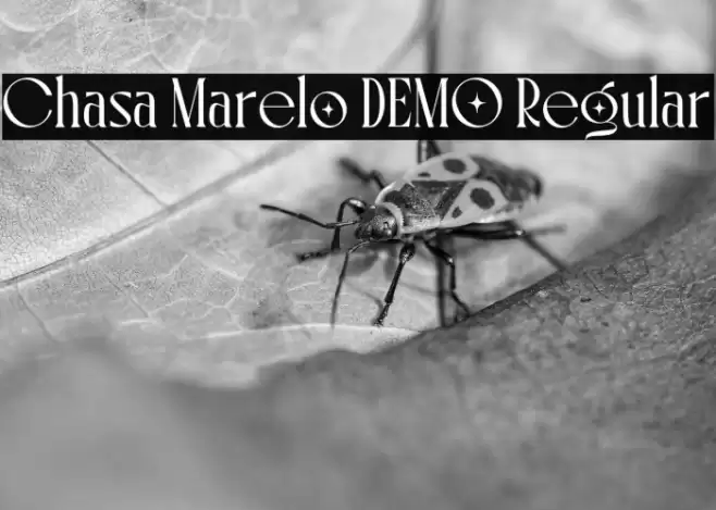 Chasa Marelo DEMO Regular 字体 examples