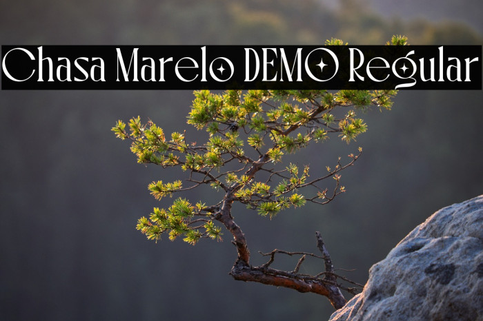 Chasa Marelo DEMO Regular Example 3