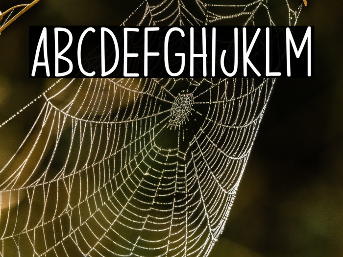 Chase Dreams Example 1