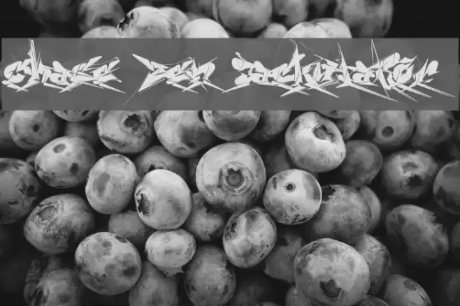 Chase Zen Jackulator  Font examples