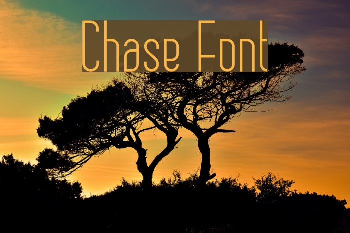 Chase Font examples