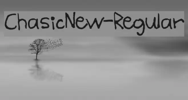 ChasicNew-Regular Font examples