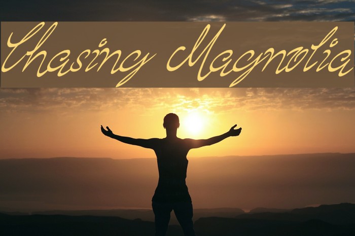 Chasing Magnolia Font examples