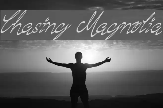 Chasing Magnolia Schriftart examples