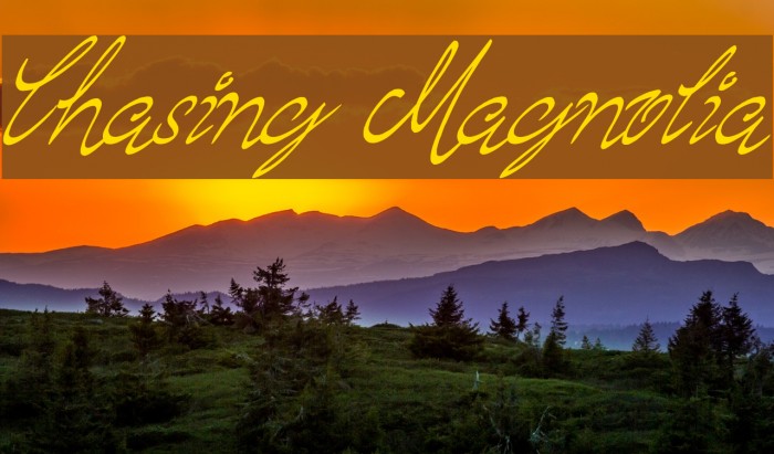 Chasing Magnolia Font examples