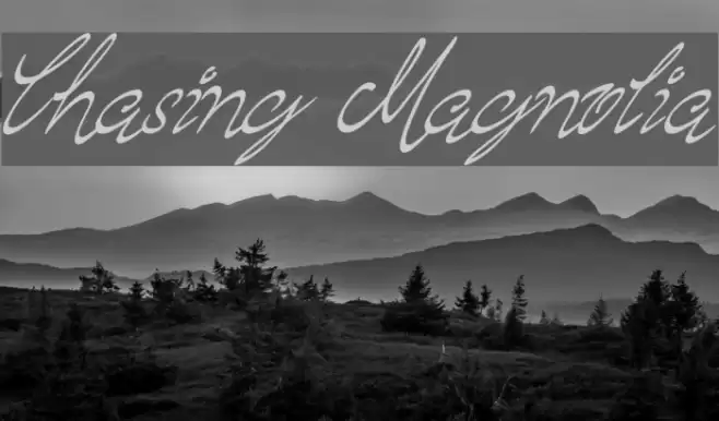 Chasing Magnolia Schriftart examples