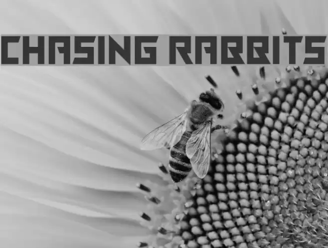 Chasing Rabbits Font examples
