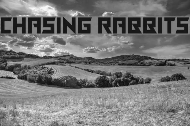 Chasing Rabbits Font examples