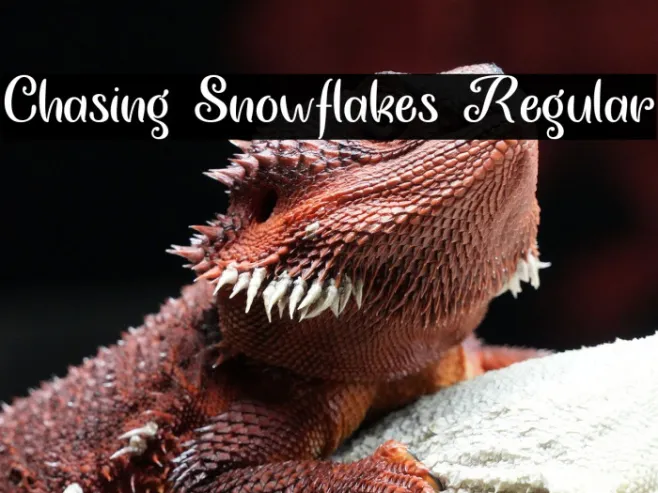 Chasing Snowflakes Regular Example 1