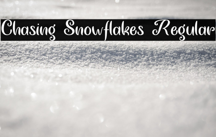 Chasing Snowflakes Regular Example 2