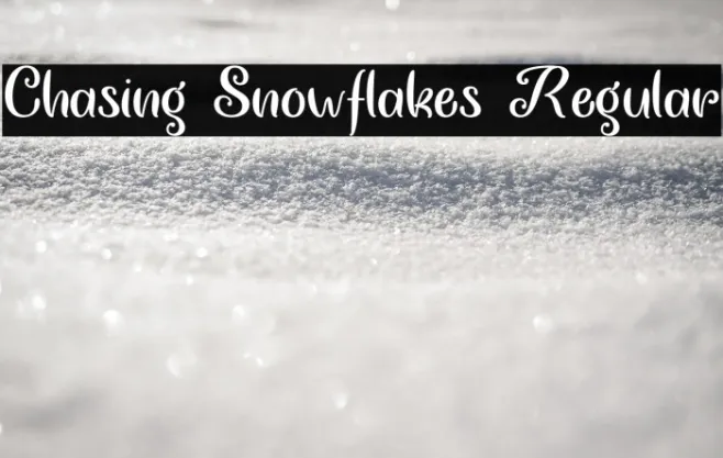 Chasing Snowflakes Regular Example 2